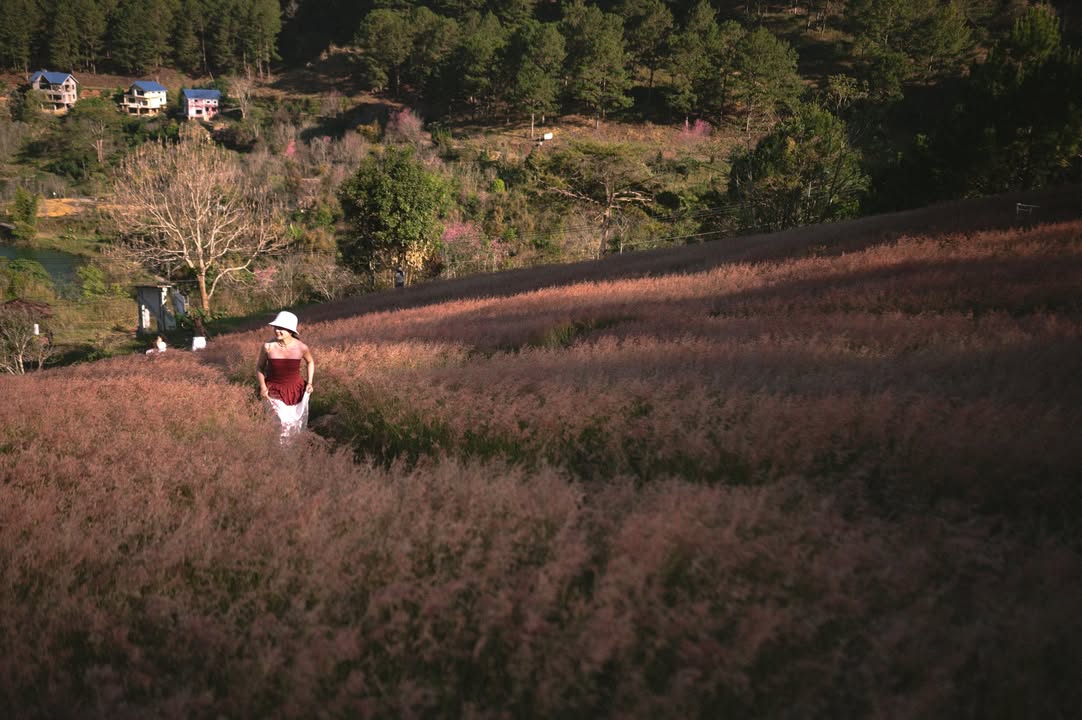 Thổ Địa Đà Lạt 2