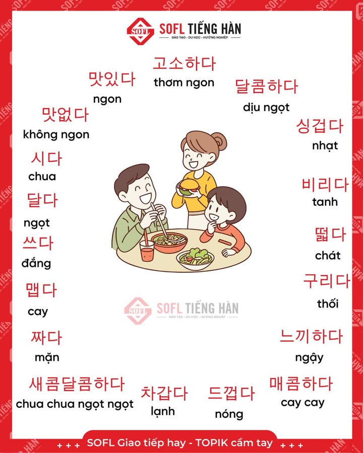 Trung Tâm Tiếng Hàn SOFL 2